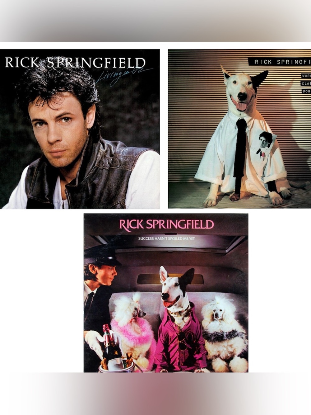 3 Vintage Rick Springfield Vinyl Records From The 80’s in Original Album Covers